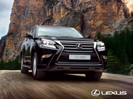      LEXUS GX 460