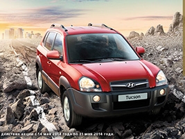  31  Hyundai Tucson        - 