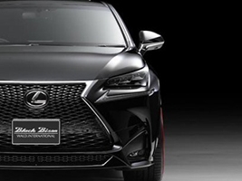 Lexus NX   Wald International