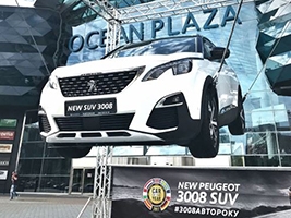   ,          PEUGEOT 3008