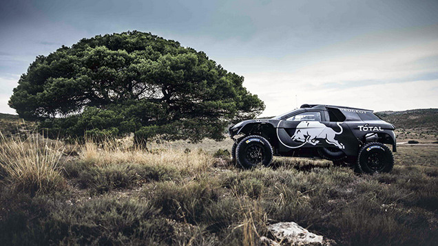  - Peugeot 2008 DKR16