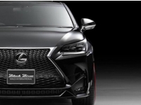 Lexus NX   Wald International