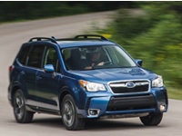    Subaru Forester    !